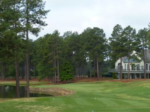 Pinehurst No9 9th Tree